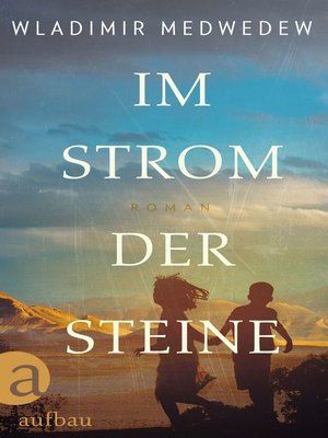 cover image of Im Strom der Steine